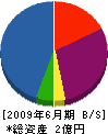 清和工業 貸借対照表 2009年6月期