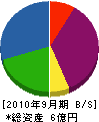 井戸沢電機 貸借対照表 2010年9月期