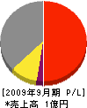 西日本建設 損益計算書 2009年9月期