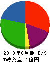 田田組 貸借対照表 2010年6月期