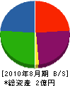 葉山 貸借対照表 2010年8月期