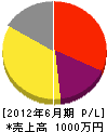 前田電機工業所 損益計算書 2012年6月期