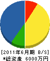 大塚造園土木 貸借対照表 2011年6月期