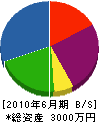 上田設備 貸借対照表 2010年6月期