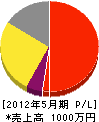 朝日清組 損益計算書 2012年5月期