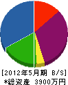 鹿本電気商会 貸借対照表 2012年5月期