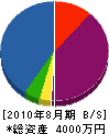 藤田造園総合センター 貸借対照表 2010年8月期