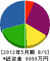 桜青建設 貸借対照表 2012年5月期