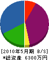 野澤電器 貸借対照表 2010年5月期