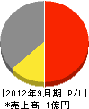 向田水道工業所 損益計算書 2012年9月期