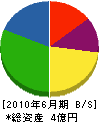 三浦国土建設 貸借対照表 2010年6月期