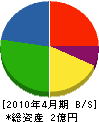 大竹電機 貸借対照表 2010年4月期
