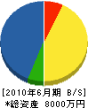 宮本電業社 貸借対照表 2010年6月期