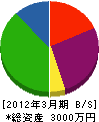 小野商会 貸借対照表 2012年3月期