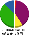 関山組 貸借対照表 2010年6月期
