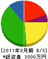 佐坂土建 貸借対照表 2011年9月期