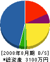 坂武建設 貸借対照表 2008年8月期
