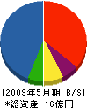 岩崎建設 貸借対照表 2009年5月期