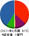水島組 貸借対照表 2011年6月期