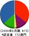 大旺新洋 貸借対照表 2008年6月期