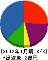 木村塗装工業 貸借対照表 2012年1月期