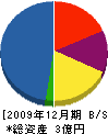 中村建工 貸借対照表 2009年12月期