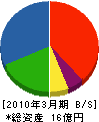 東邦福島 貸借対照表 2010年3月期