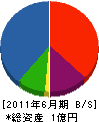 竹節建築 貸借対照表 2011年6月期