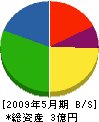 栄興技研 貸借対照表 2009年5月期