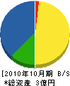 田中工業 貸借対照表 2010年10月期