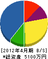 矢沢電気商会 貸借対照表 2012年4月期