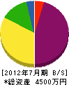 山重渡辺建築 貸借対照表 2012年7月期