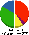 光電社 貸借対照表 2011年6月期