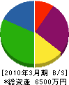 目崎硝子 貸借対照表 2010年3月期