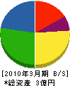 羽沢建設 貸借対照表 2010年3月期