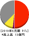 坂田電機 損益計算書 2010年6月期