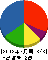 平田建設 貸借対照表 2012年7月期