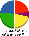佐藤興産 貸借対照表 2011年6月期