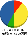 寺島電工 貸借対照表 2012年7月期