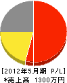 櫻井電機製作所 損益計算書 2012年5月期