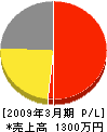 須藤電業 損益計算書 2009年3月期