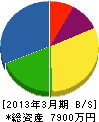 渡辺建設 貸借対照表 2013年3月期