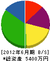 石坂産業 貸借対照表 2012年6月期