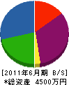 宝山工業 貸借対照表 2011年6月期