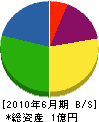 平田造園 貸借対照表 2010年6月期