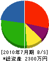 坂井電工社 貸借対照表 2010年7月期