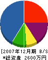 藤春設備 貸借対照表 2007年12月期