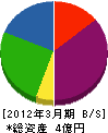 藤沼電気 貸借対照表 2012年3月期