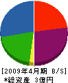 大林建設工業 貸借対照表 2009年4月期