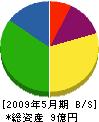 片岡工業 貸借対照表 2009年5月期